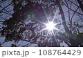晩秋 古代の復原集落 108764429