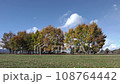 晩秋 古代の復原集落 108764442