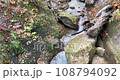 日本宮城縣鳴子鎮的山間溪流秋季 108794092