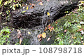 日本宮城縣鳴子町山上流淌的泉水 108798718
