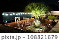 Illuminated Cocos Palm Tree American Garden 108821679