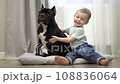 little boy sitting with a american bully dog and hugging it 108836064