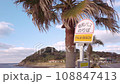 [Kyushu/Itoshima City] A panning video of a palm tree on the Sakurai Futamigaura coast and the Palm Beach bus stop sign. 108847413
