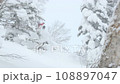 Jumping on a backcountry snowboard 108897047
