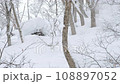 Jumping on a backcountry snowboard 108897052