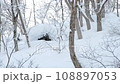 jumping on backcountry skis 108897053