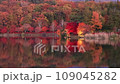 黃昏時分的蓼科湖，秋葉盛開 109045282