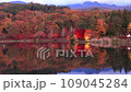 黃昏時分的蓼科湖，秋葉盛開 109045284