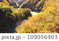 天龍峽，賞紅葉的名勝 109056903