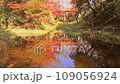 高遠城跡紅葉節 109056924