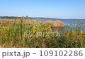 Waterfowl visiting area in Shimane 109102286