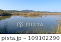 Waterfowl visiting area in Shimane 109102290