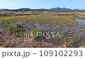 Waterfowl visiting area in Shimane 109102293