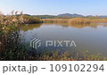 Waterfowl visiting area in Shimane 109102294