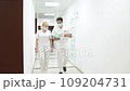 Cute young girl is being examined by the dentist 109204731
