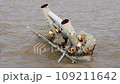 A collapsed and flooded vessel mooring platform 109211642
