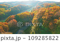 橙色秋葉和藍天的空中鏡頭 109285822