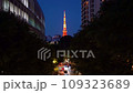 從欅坂看到的東京鐵塔 109323689