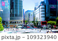 澀谷爭奪路口 109323940
