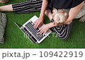 Top View of Female Businessman Working on Laptop with Yorkshire Terrier Beside Her. 109422919