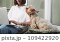 Smiling Brunette Woman Working at Her Laptop with Yorkshire Terrier 109422920