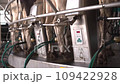 Machine milking of cows. Dairy farm. Progressive dairy farm 109422928