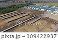 Dairy farm in the countryside. Cows in the stall. Sunset. Aerial view 109422937