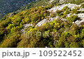 View of Kotor Montenegro from the mountain 109522452