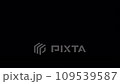クリスマスツリー 109539587