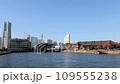(Kanagawa Prefecture) Blue sky and scenery around Minato Mirai 4 109555238