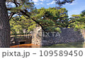 從平川門內看皇居東御苑、平川護城河 109589450