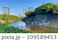 皇居東御苑平川護城河 109589453