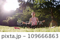 The young attractive woman is resting in the park. The woman is meditating in the lotus pose 109666863