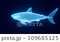 Shark - Glowing neon 3D mesh 109685125