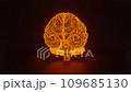 Human brain on a black background. Technology and medical concept. Motion graphic. 3d abstract illustration. 109685130
