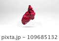 Human Heart beat, 3d red polygon. 109685132