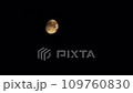 Clear moon. Black clouds. Black clouds float against the backdrop of the yellow moon with craters. The partly clear moon is setting down. 4k footage video. Close-up. Natural satellite of Earth 109760830