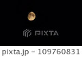 Clear moon with black clouds. 4k footage video. The partly clear moon is setting down. Black clouds float against the backdrop of the yellow moon with craters. Close-up. Natural satellite of Earth 109760831