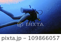 woman observing underwater world 109866057