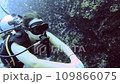 diver woman is amazed by diving 109866075
