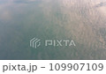水面の文様 109907109