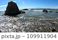 湘南の海の波しぶき 109911904