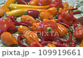 Mix of Chili Peppers Close-Up Including Habanero, Jalapeno, Cayenne, Harvey 109919661