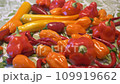 Mix of Chili Peppers Close-Up Including Habanero, Jalapeno, Cayenne, Harvey 109919662