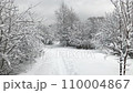 walking on thin footpath in snowdrift among snow-covered trees in winter forest 110004867