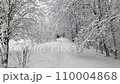 walking on thin footpath in snowdrift among snow-covered trees in winter forest 110004868