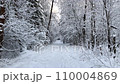 walking on thin footpath in snowdrift among snow-covered trees in winter forest 110004869