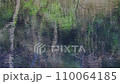 Fluctuations in the waterfowl pond 110064185