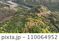 Aerial view of autumn leaves at Naegi Castle ruins 110064952