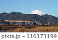 酒匂川から見る富士山 110173199